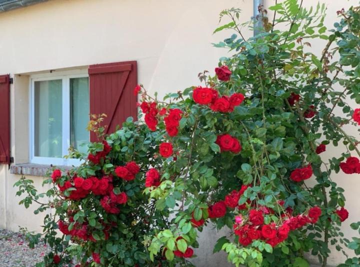 Chambres d'hôtes Les Roches Noires Trouville-sur-Mer Exterior foto
